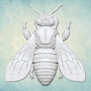 Prosvet mould Bee