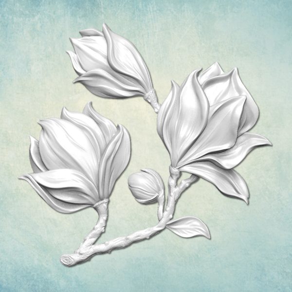 ARTMD1410 Magnolias