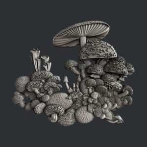 Zuri mould mushroom Bloom 5