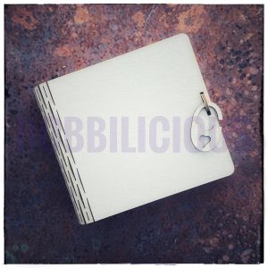 Hobbilicious Craftboard mini Book Box